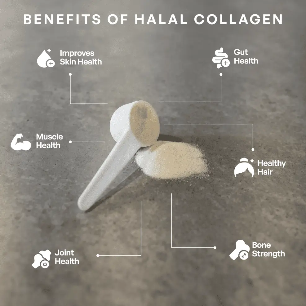 Halal Collagen Protein - Image 7