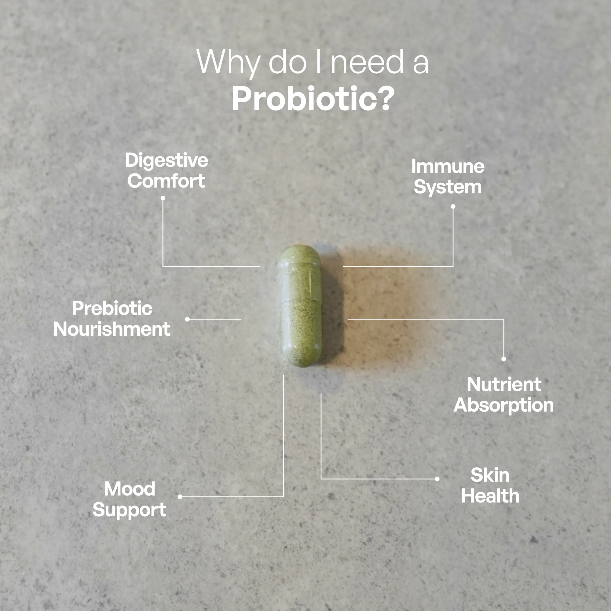 Probiotic - Image 3